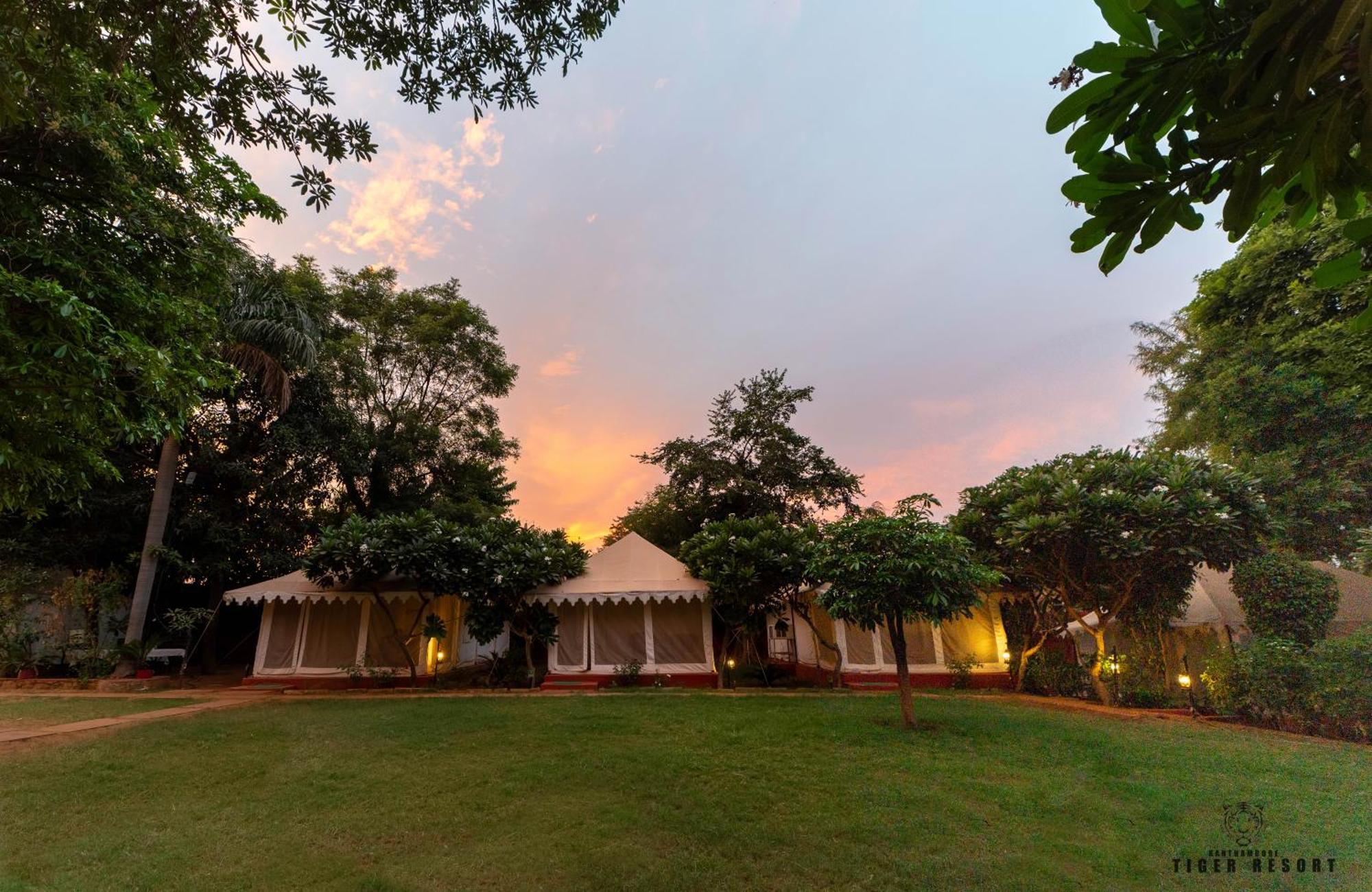 Ranthambore Tiger Resort Sawai Madhopur Exteriör bild